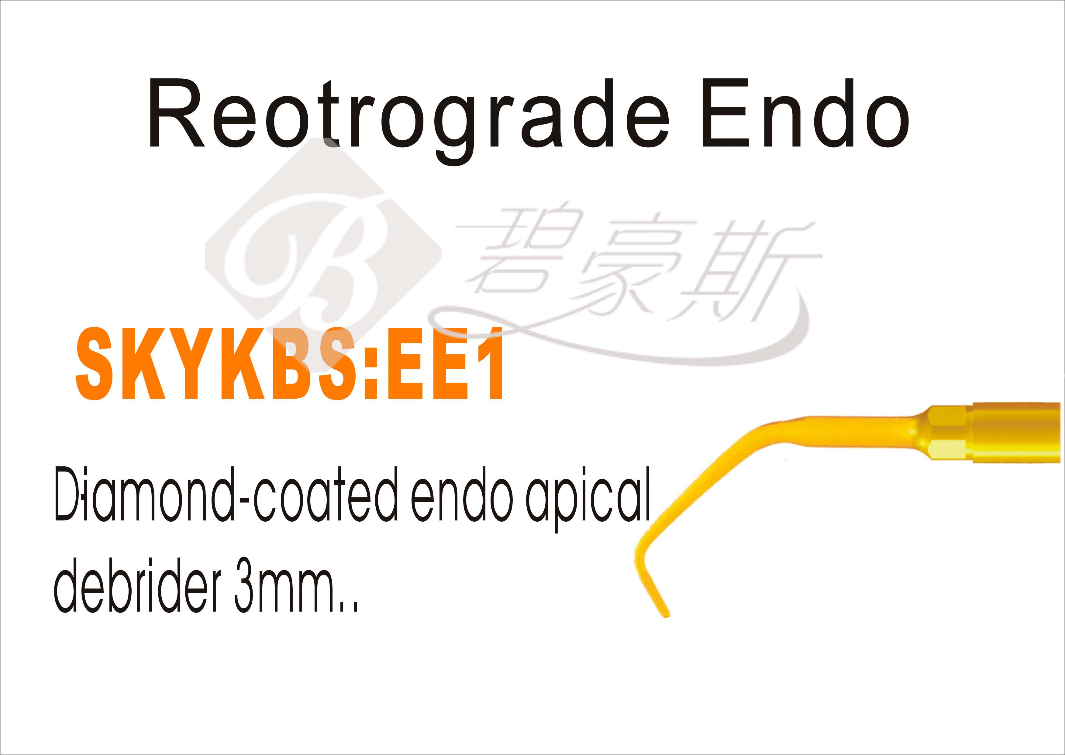 EE1