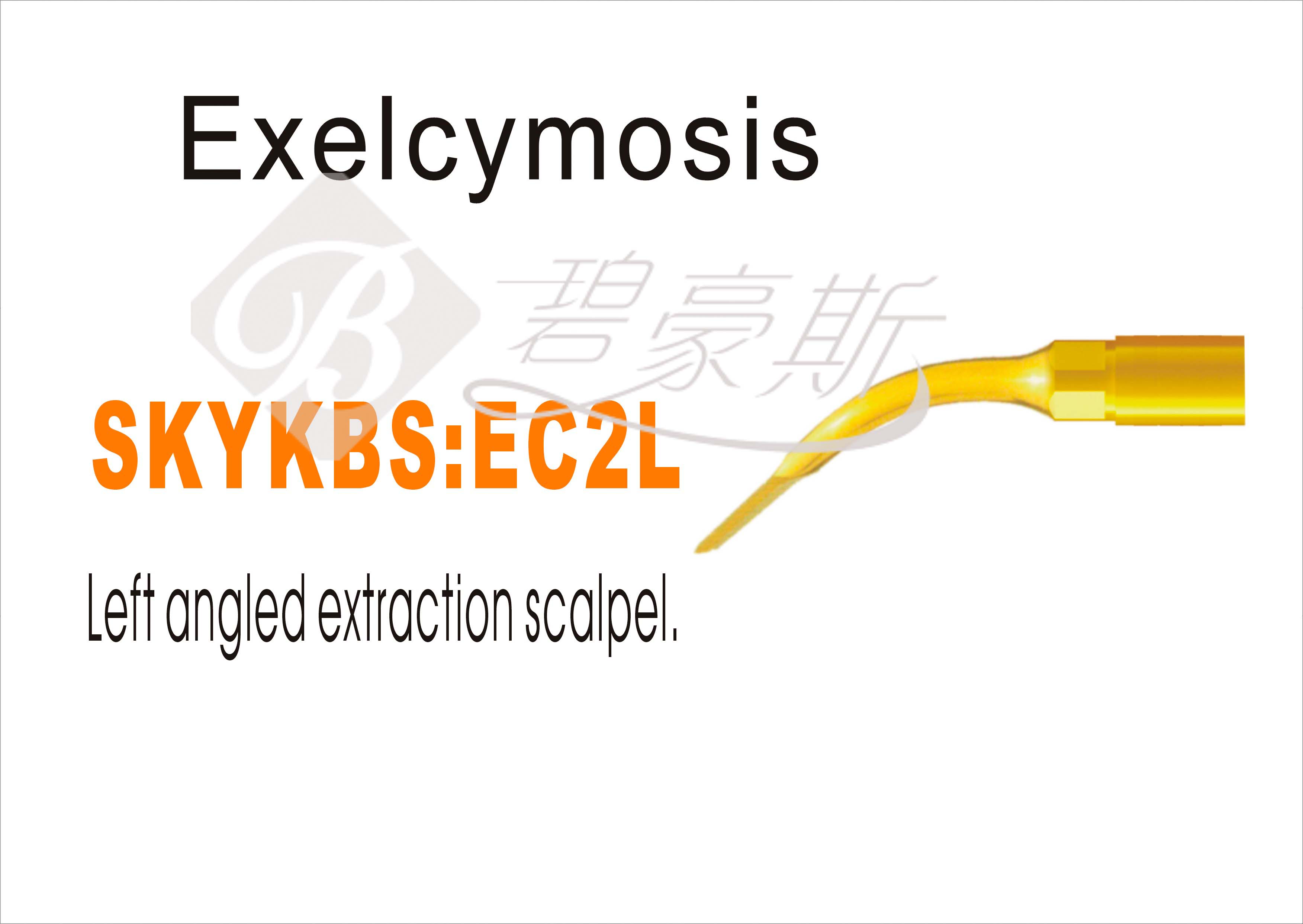 EC2L