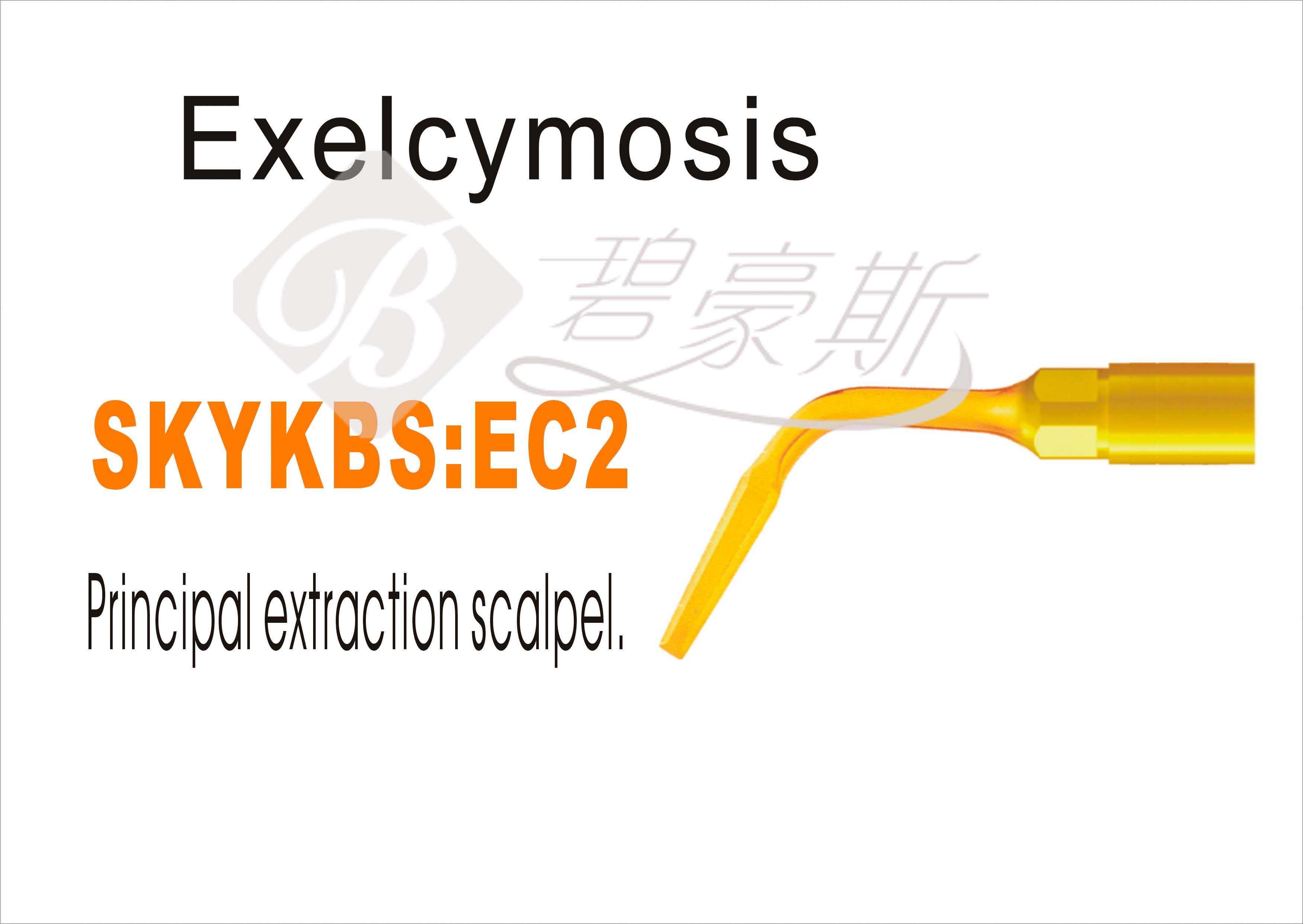 EC2